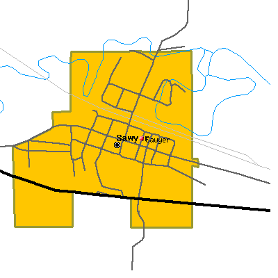 Sawyer map