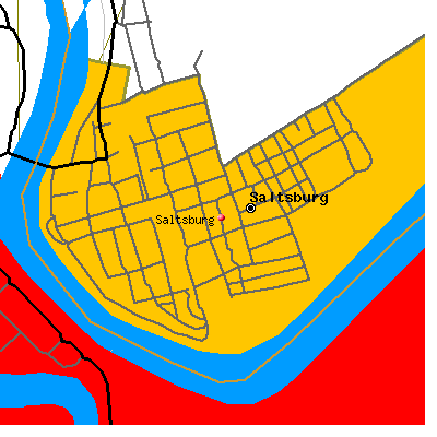 Saltsburg map