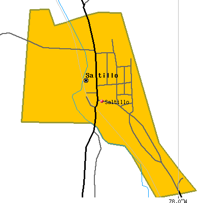 Saltillo map
