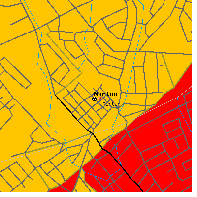 Morton map