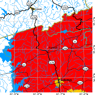 Forest map