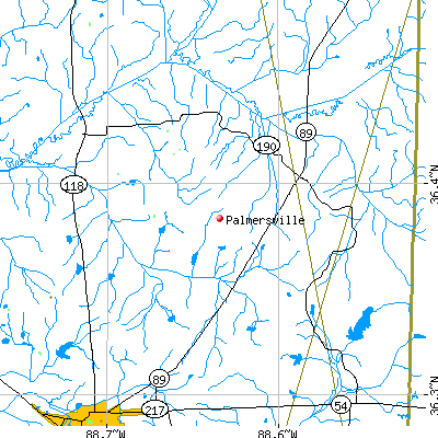 Palmersville map