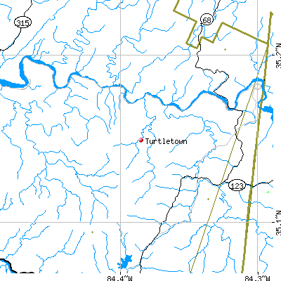 Turtletown map
