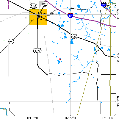 McAlpin-Wellborn map