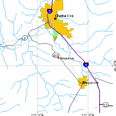 Newaukum map