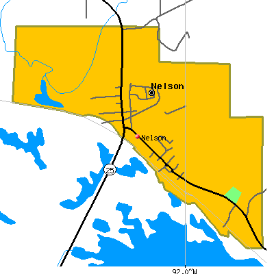 Nelson map