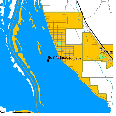 Buffalo City map