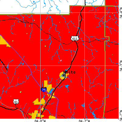 White-Pine Log map