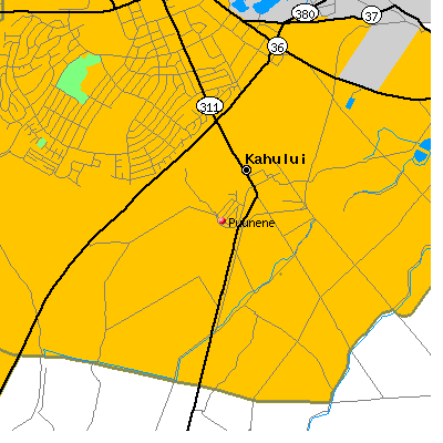 Puunene map