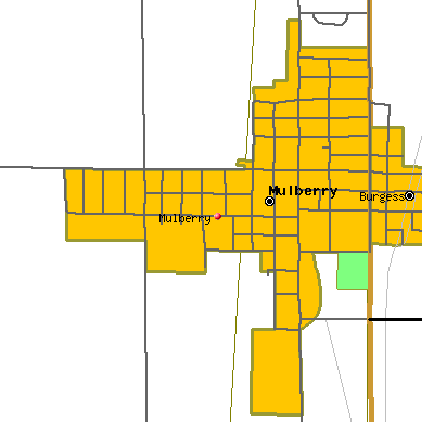 Mulberry map