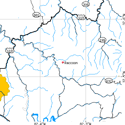 Raccoon map
