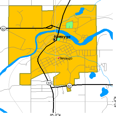 Newaygo map