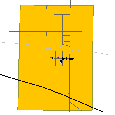 Nelson map