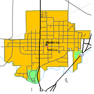 Madelia map