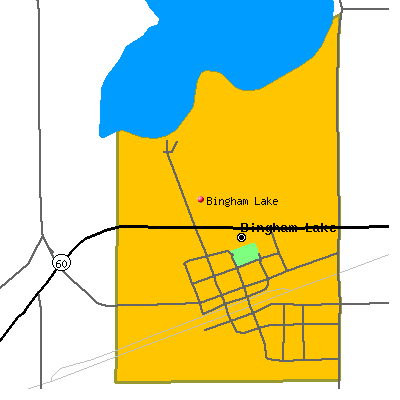Bingham Lake map