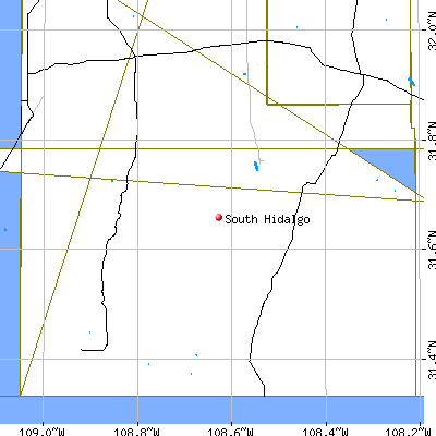 South Hidalgo map