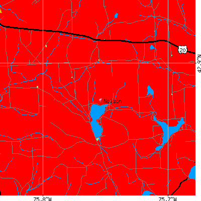 Nelson map