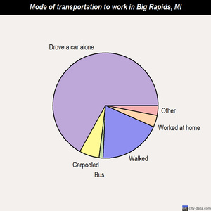 Big Rapids mode of transportation to work chart