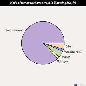 Bloomingdale mode of transportation to work chart