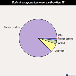 Brooklyn mode of transportation to work chart