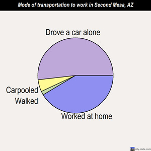Second Mesa mode of transportation to work chart