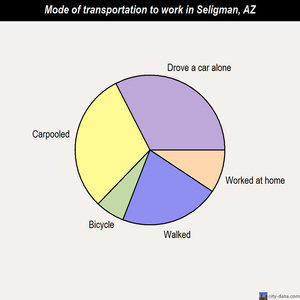 Seligman mode of transportation to work chart