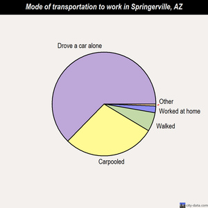 Springerville mode of transportation to work chart