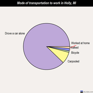 Holly mode of transportation to work chart