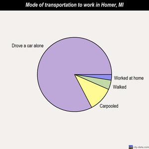 Homer mode of transportation to work chart