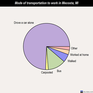Mecosta mode of transportation to work chart