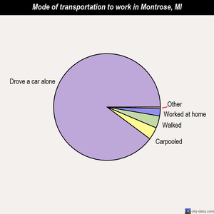 Montrose mode of transportation to work chart