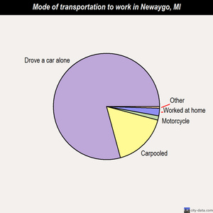 Newaygo mode of transportation to work chart
