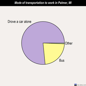 Palmer mode of transportation to work chart