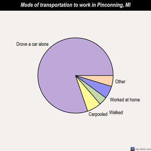 Pinconning mode of transportation to work chart