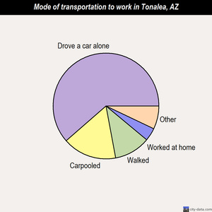 Tonalea mode of transportation to work chart
