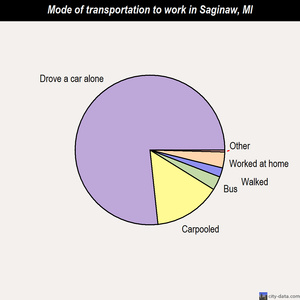 Saginaw mode of transportation to work chart
