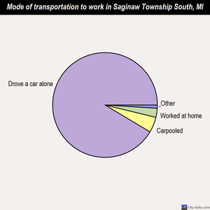 Saginaw Township South mode of transportation to work chart