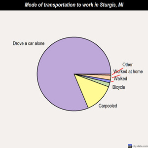 Sturgis mode of transportation to work chart