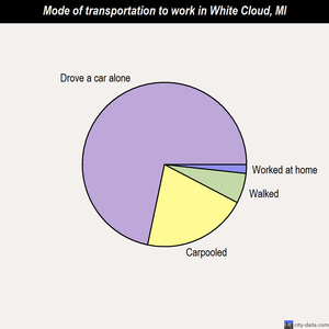 White Cloud mode of transportation to work chart
