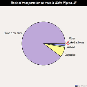 White Pigeon mode of transportation to work chart