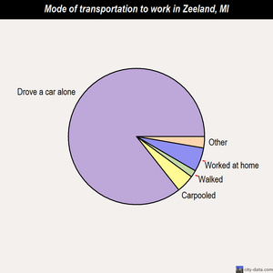 Zeeland mode of transportation to work chart