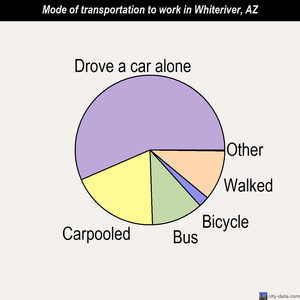 Whiteriver mode of transportation to work chart