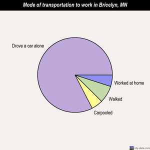 Bricelyn mode of transportation to work chart