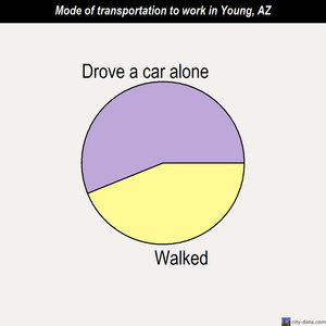 Young mode of transportation to work chart