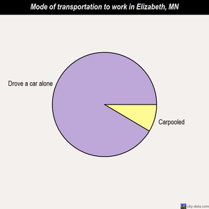 Elizabeth mode of transportation to work chart