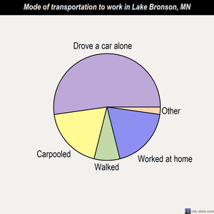 Lake Bronson mode of transportation to work chart