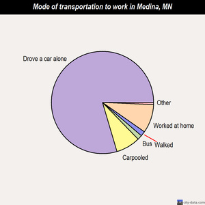 Medina mode of transportation to work chart