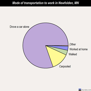Newfolden mode of transportation to work chart