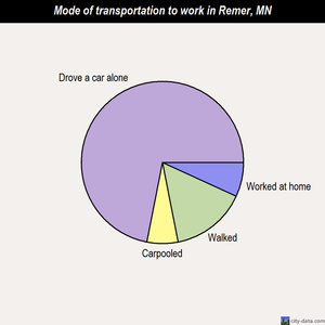 Remer mode of transportation to work chart