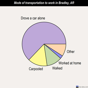 Bradley mode of transportation to work chart